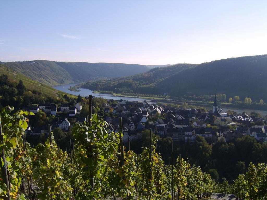 Weingut Matthias Dauns Daire Reil Dış mekan fotoğraf
