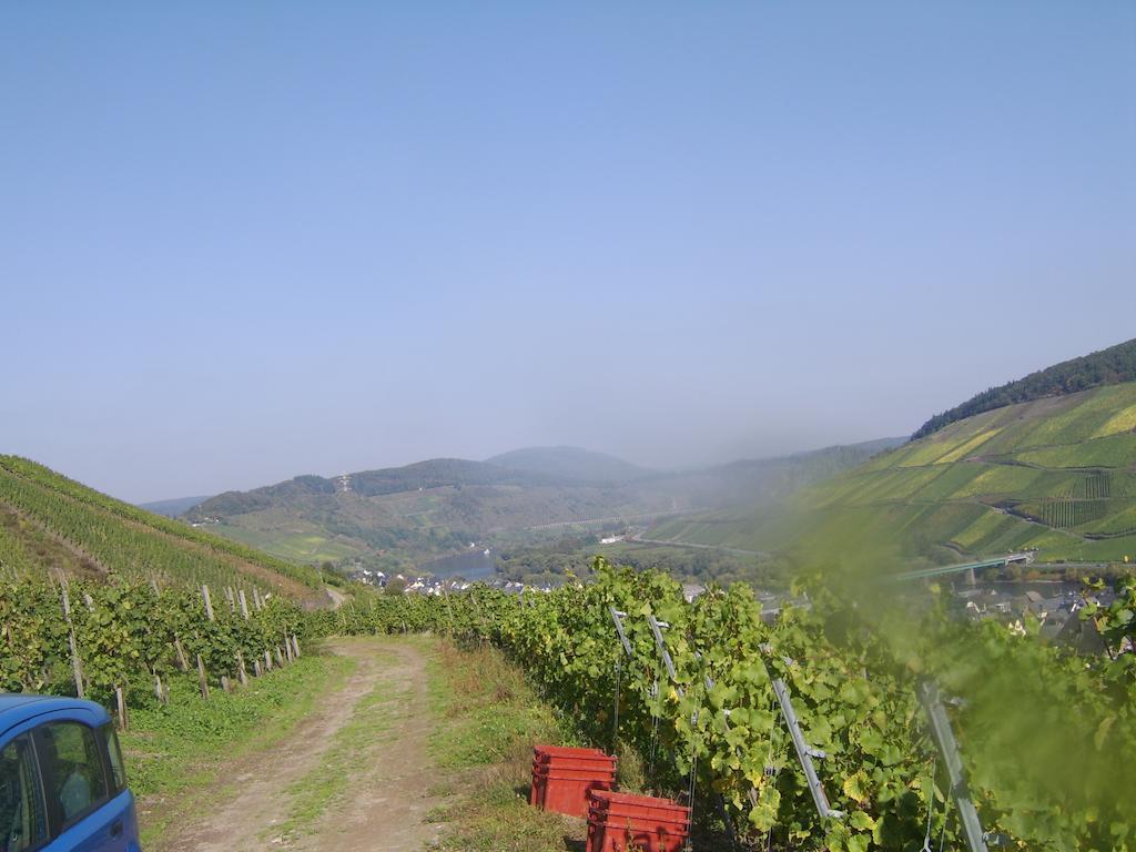 Weingut Matthias Dauns Daire Reil Dış mekan fotoğraf
