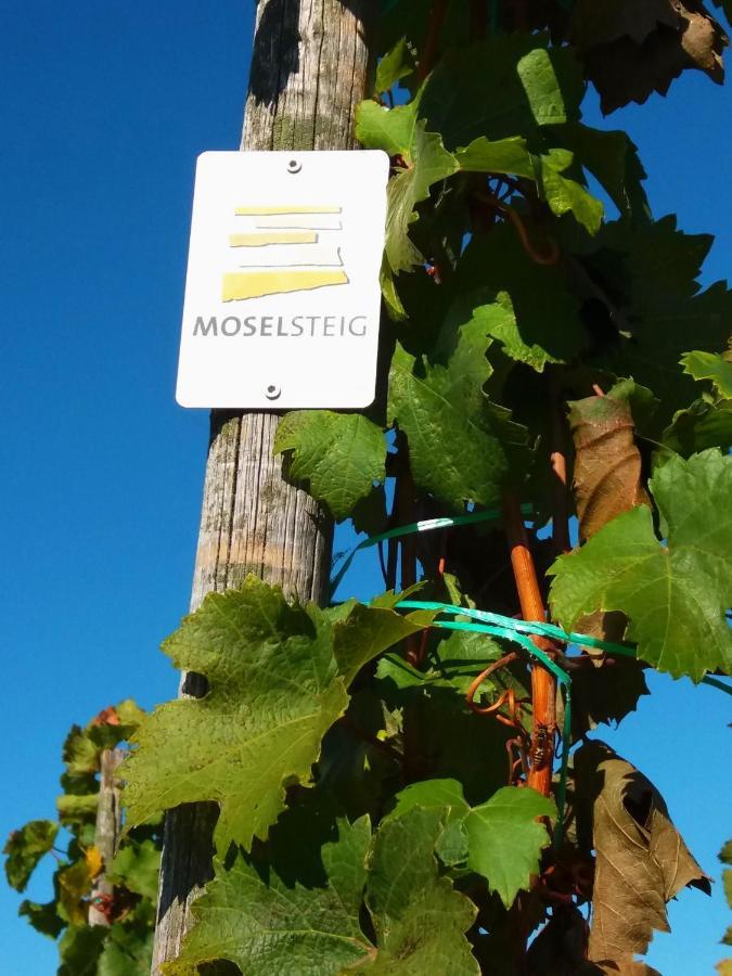 Weingut Matthias Dauns Daire Reil Dış mekan fotoğraf